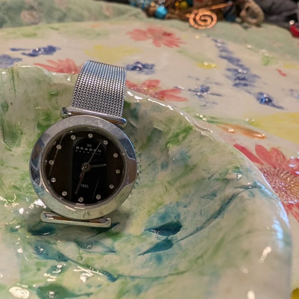 Skagen Watch